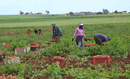مدير زراعة الكرك يؤكد أهمية الإرشاد الزراعي في تحقيق التنمية الزراعية