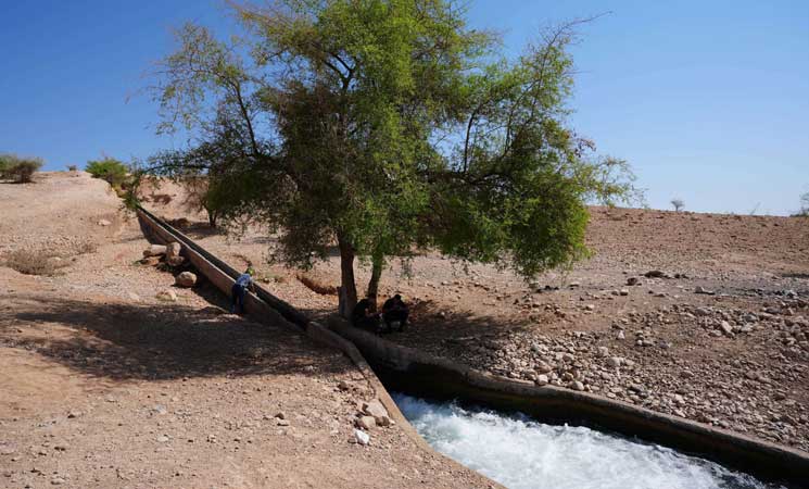 بين الجفاف والتعديات الاستيطانية... سكان الأغوار محرومون من مياه نبع العوجا