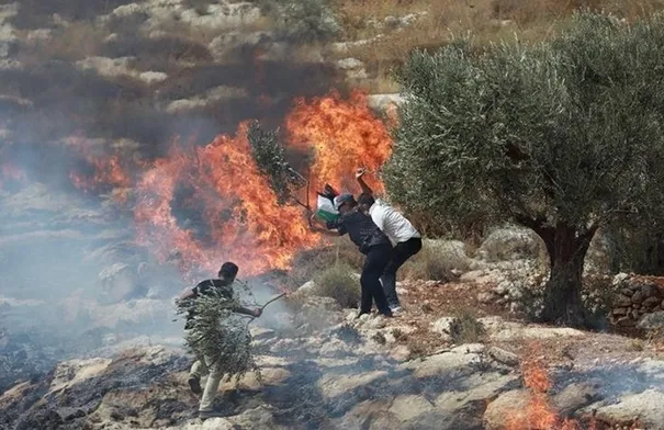 مستوطنون يضرمون النار بأراضي فلسطينيين بالضفة