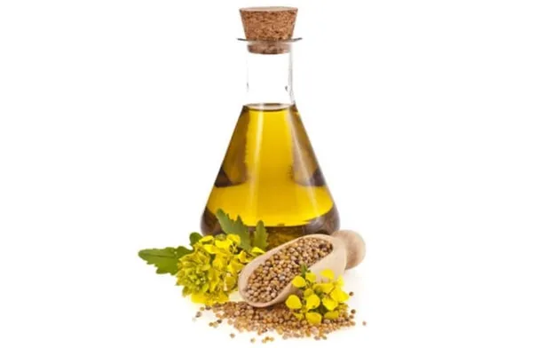 زيت الخردل.. فوائد مذهلة لصحة الشعر أبرزها تقوية الجذور وتقليل القشرة