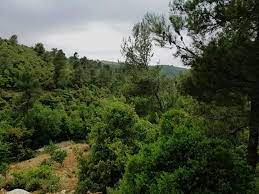 زراعة جرش تطلق المدرسة الحقلية الخامسة