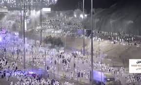 مشروع الإفادة من الهدي والأضاحي في السعودية ينفذ 287 ألف أضحية بيوم النحر