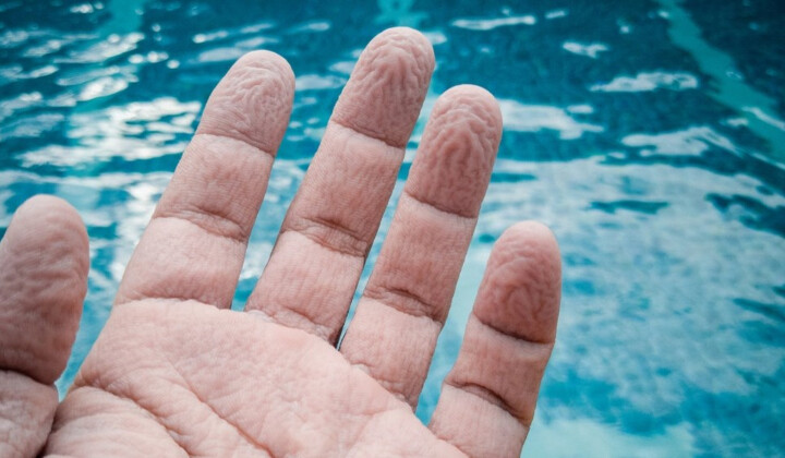 لماذا تتجعد أصابعنا في الماء؟.. اكتشاف علمي يوضح السبب الحقيقي!