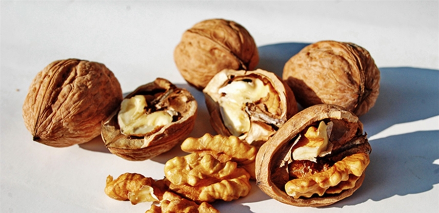 الجوز.. كنز طبيعي لصحة القلب والدماغ