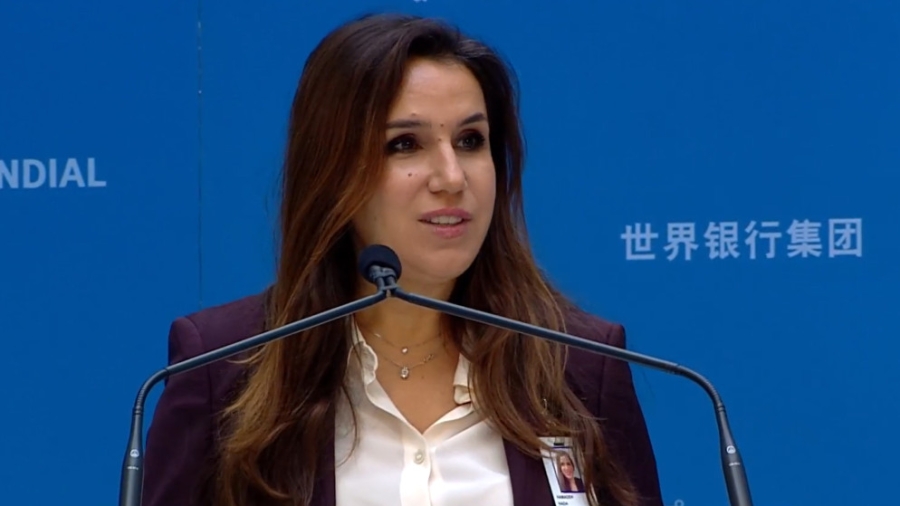 ندى حمادة سفيرة للبنان في واشنطن