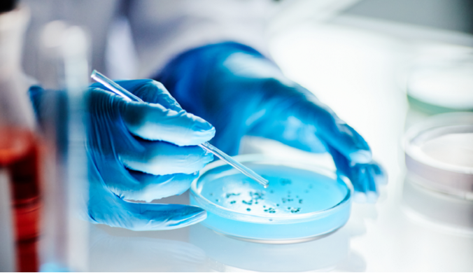 تحذير للسائقين .. عنصر أساسي في السيارة مليء بالجراثيم!