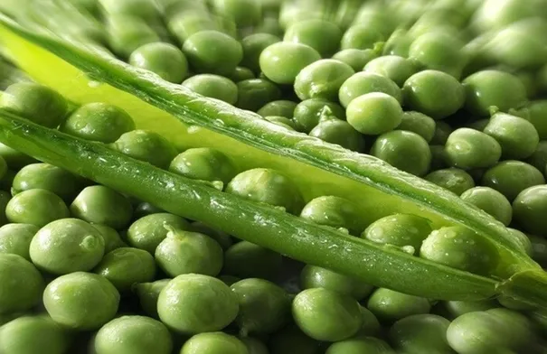 7 أسباب ستجعلك تتناول البازلاء الخضراء يومياً