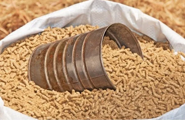 إعادة طرح عطاء تأهيل مركز أعلاف إيل في معان