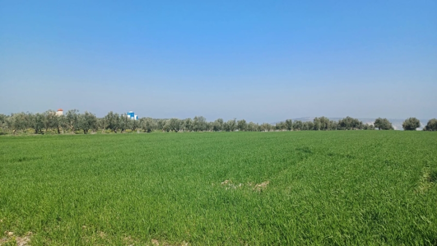 2 مليون دينار قيمة قروض منحتها مؤسسة الإقراض الزراعي في إربد