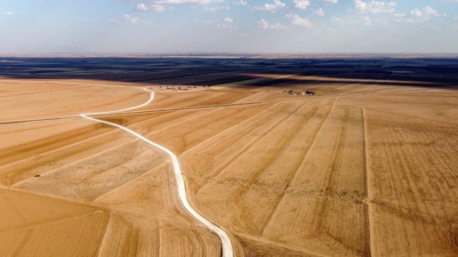 الجفاف يعرّض 16 مليون سوري لانعدام الأمن الغذائي وتلف محاصيل القمح