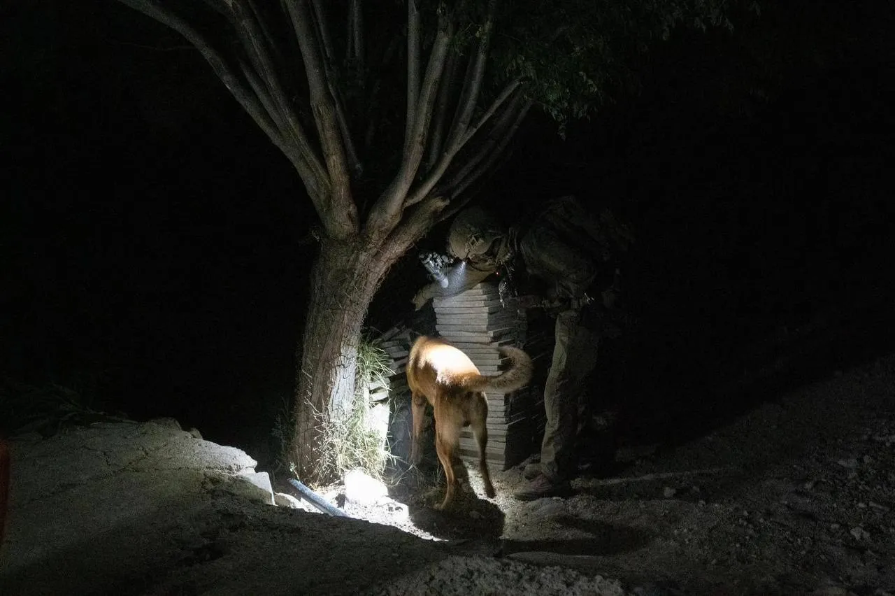 الجيش الإسرائيلي يعلن اعتقال (خلية إيرانية) جنوب سورية خلال عملية خاصة