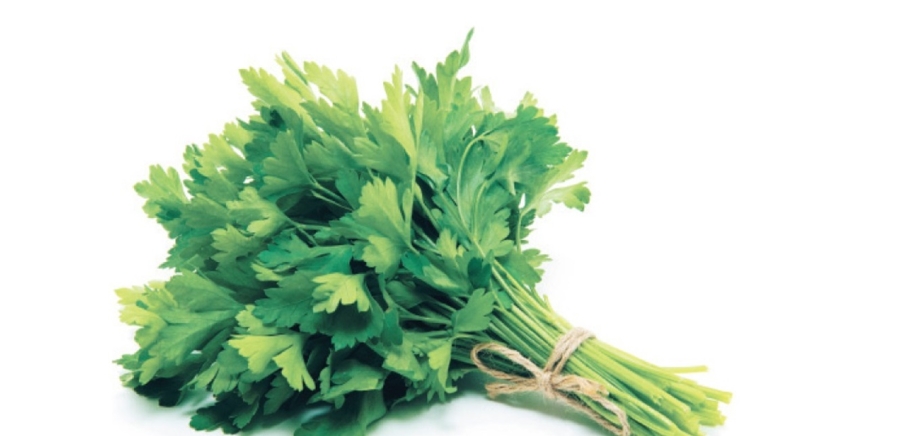 البقدونس… نبتة صغيرة بفوائد كبيرة