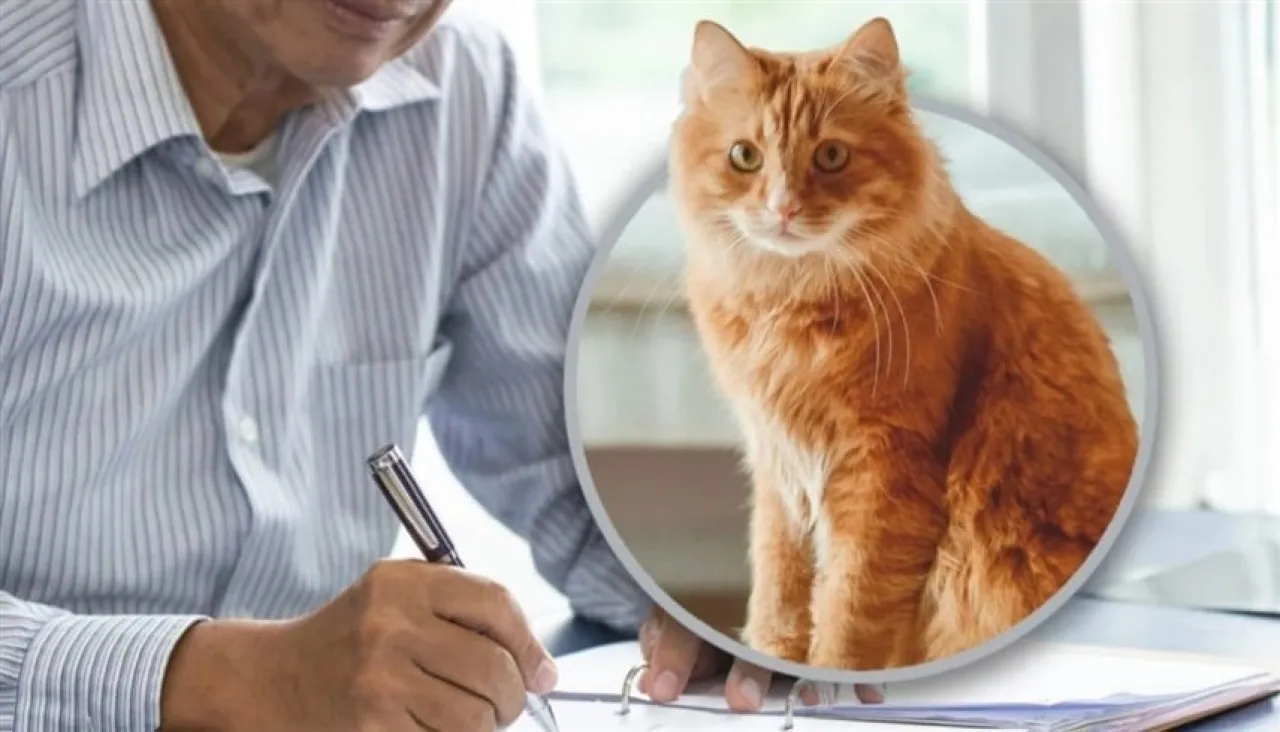 رجل يقرر ترك ثروته لقطته ويبحث عمّن يرعاها بعد رحيله