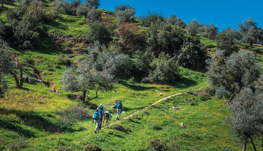 عجلون: المسارات السياحية رافعة للتنمية المستدامة