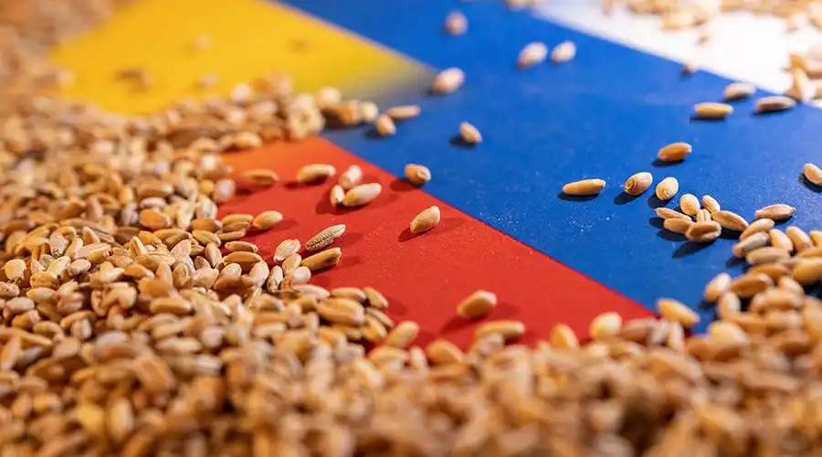 روسيا: إلغاء ضريبة تصدير القمح بشكل كامل