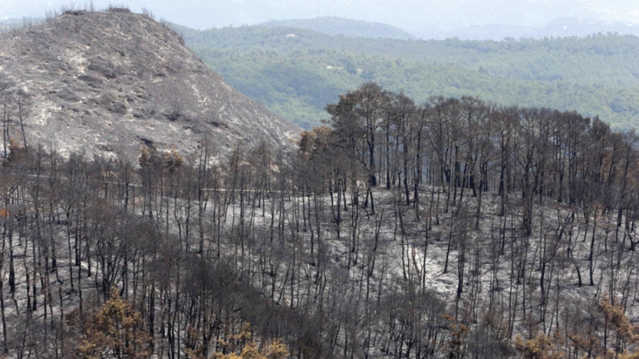 سوريا: الاتفاق مع تركيا للمشاركة في إخماد الحرائق بريف اللاذقية