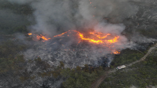 الطوارئ السورية: تضرر 10 آلاف هكتار من الغابات بالحرائق.. والوضع صعب