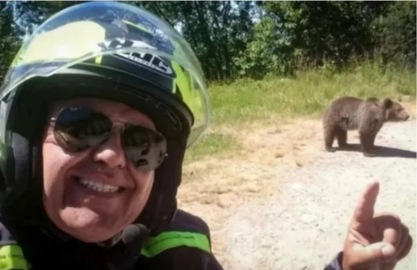 مصرع سائح إيطالي في هجوم دب خلال محاولة إطعامه في رومانيا