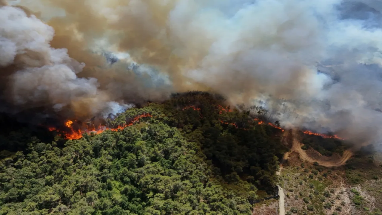 الدفاع المدني السوري: نحن بمراحل متقدمة من السيطرة على حرائق اللاذقية
