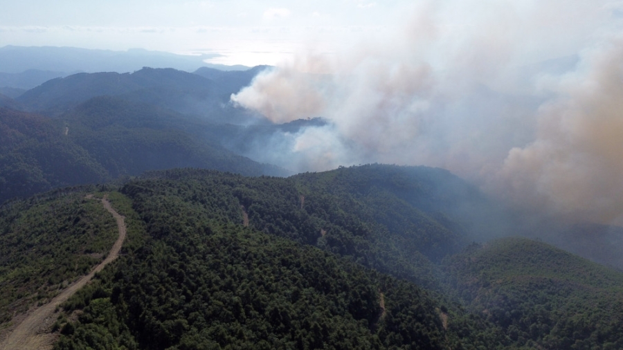 حرائق اللاذقية تحت السيطرة شبه الكاملة ودعم أردني ودولي يسرع الاستجابة