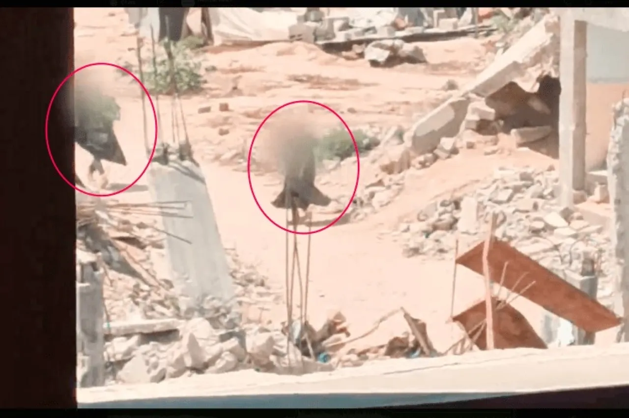 القسام تجمع معلومات استخباراتية دقيقة عن جيش الاحتلال