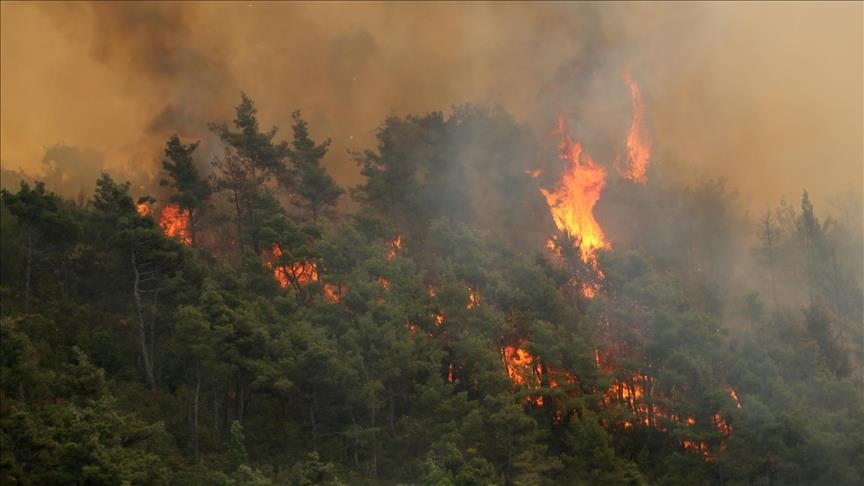 الدفاع المدني: استخدام آليات متطورة لإخماد الحرائق في سوريا