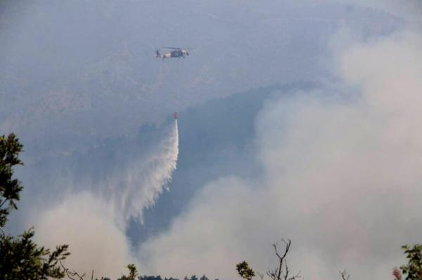 لليوم الثامن .. فرق الإطفاء السورية والأردنية والتركية واللبنانية تكافح حرائق اللاذقية