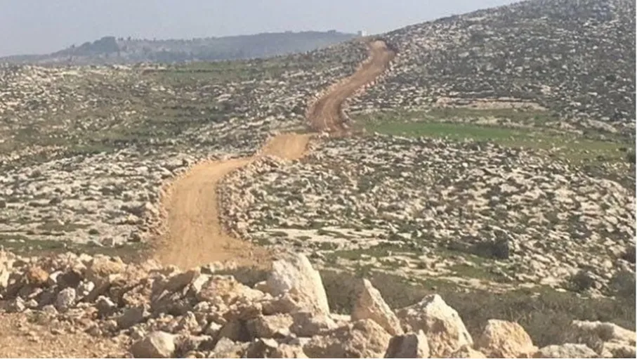 زراعة الكورة تدعو لاتخاذ احتياطات لحماية المواشي  والمزروعات من الحر