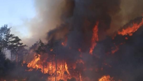 الدفاع المدني الأردني في سوريا يسيطر على الحرائق في مناطق المسؤولية