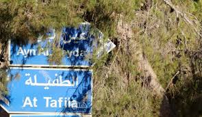 محافظ الطفيلة يتفقد عدداً من الدوائر الحكومية في الحسا