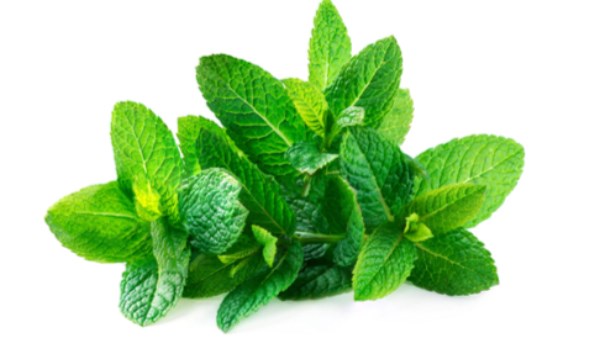تعرف على فوائد النعناع.. أهمها الثالثة