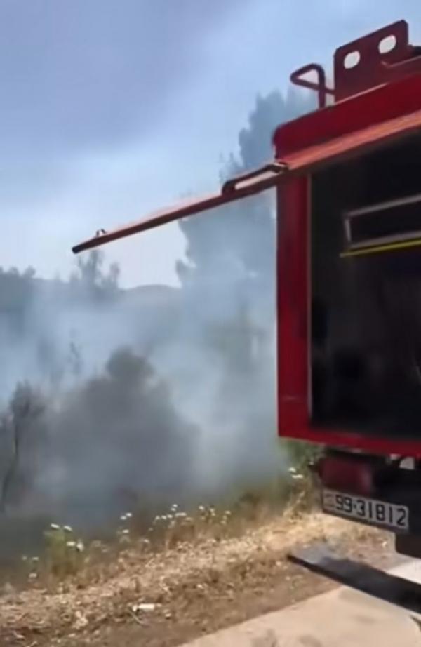 عمليات تبريد لموقع حريق وديان الشام في جرش