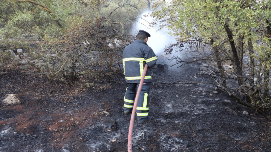 الزراعة: حريق الغابات في جرش مفتعل والنيران اشتعلت بـ3 مواقع في ذات الوقت