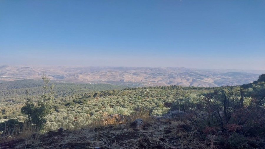 بدء تنفيذ أعمال مشروع مدينة جرش السياحي بكلفة 7 ملايين دينار