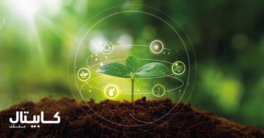 كابيتال بنك.. الريادة في الاستدامة البيئية والنمو المسؤول