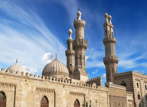 الأزهر يطلق نداء عالميا عاجلا لوقف الحرب في غزة