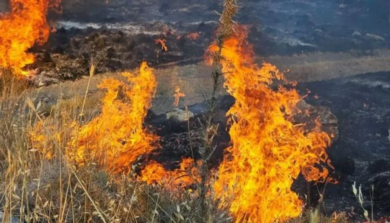 التهم 125 كيلومترا.. قتلى جراء أسوأ حريق في تاريخ قبرص