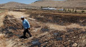 مستوطنون يهاجمون فلسطينيين في الأغوار الشمالية
