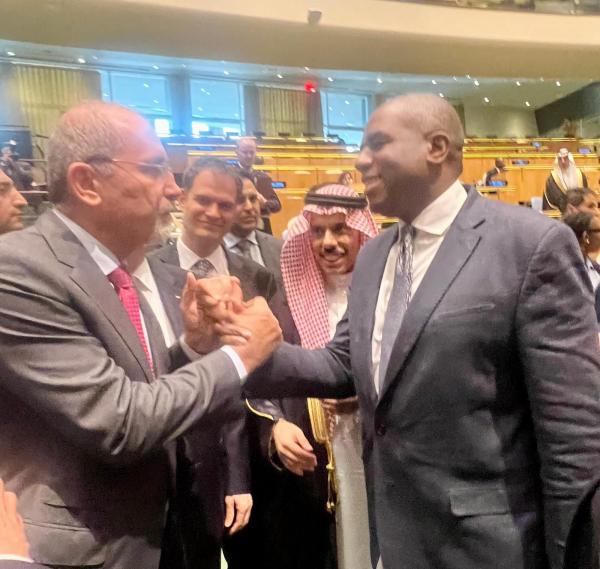 الصفدي يثمن إعلان نوايا بريطانيا وفرنسا الاعتراف بالدولة الفلسطينية