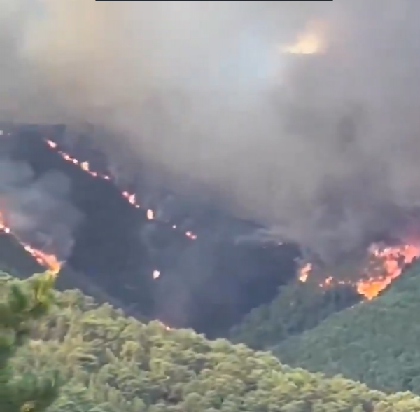 خلال ساعات قليلة .. حريق يلتهم 500 هكتار من الغابات في إسبانيا