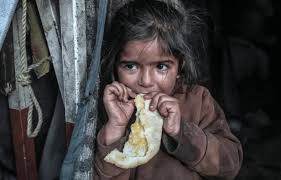 المستشار الإعلامي للأونروا: هناك مجاعة حقيقية في غزة