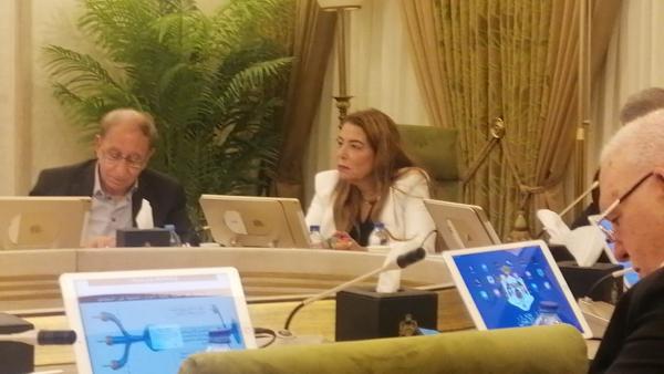 بالأرقام والمؤشرات .. دراسة للعين عبلة العماوي حول فرص العمل المستقبلية