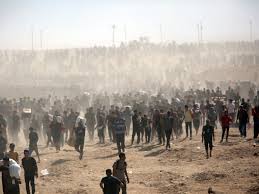 مستشار بالأونروا: يجب فتح معابر غزة البرية الخمسة