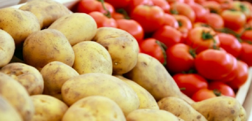 بحث جديد يكشف مفاجأة: البطاطس تطورت من الطماطم