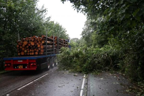 عاصفة فلوريس تضرب إسكتلندا وتعطّل حركة النقل