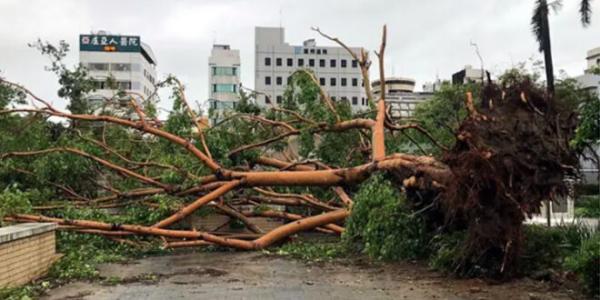 حصيلة الأمطار الغزيرة في تايوان: 4 قتلى و74 جريحًا و3 مفقودين