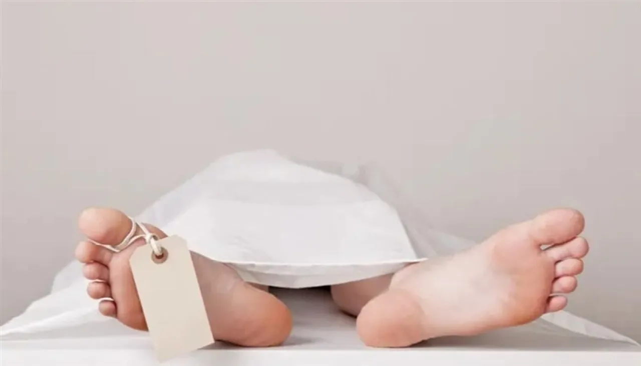 مصر..ذبح طفل داخل متجر شهير