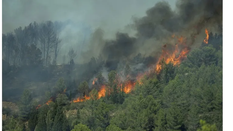 حريق هائل يلتهم آلاف الهكتارات في جنوب فرنسا وسط حالة تأهب قصوى