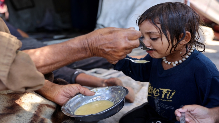 صحة غزة: ارتفاع عدد شهداء المجاعة وسوء التغذية إلى 193