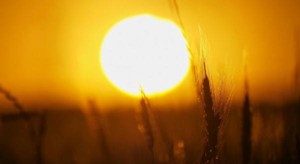 الوطني لإدارة الازمات يحذر من مخاطر الحالة الجوية المتوقعة